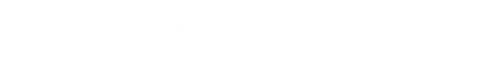 NEURAL VISIBILITY_Logo Design_RGB_3